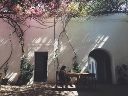  Courtyard in Oaxaca, Mexico. Taken by Rachel Smith. 