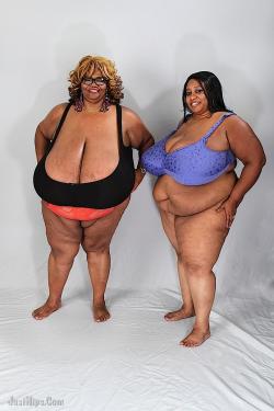 garyplv: 7yo1lo3:  bgchl:  Nina Stith and cotton candy….how much better can life be….the only thing missing is me in between both of them  World largest tits in one room, legendary  √  Norma Stitz:  5'6&quot;350BMI: 56.5 				Cotton Candi 5'4&quot;269BMI: