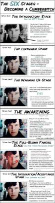 The Six Stages of Becoming a Cumberbitch - Imgur I found this and shared directly from Imgur.  I&rsquo;m not sure who created it, and a helpful friend thinks it&rsquo;s from will-daaayum (deactivated now?).  If someone else can confirm it, Great!  I