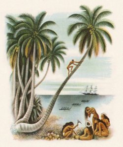 Illustration by Miguel Covarrubias, from Typee: A Romance of the South Seas, by Herman Melville. Via Book Graphics.