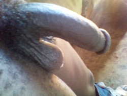 Master Alfred from Kenya submitted these pics.PRAISE BIG BLACK PENIS!PRAISE MASTER ALFRED!