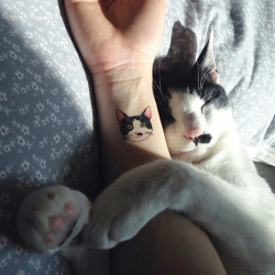 boredpanda:    Minimalistic Cat Tattoos For Cat Lovers  