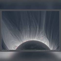 Detailed View of a Solar Eclipse Corona #nasa #apod #sun #star #solareclipse #eclipse #corona #solarcorona #atmosphere #moon #satellite #solarsystem #gas #magneticfields #solarflare #space #science #astronomy