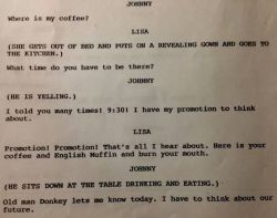 zonecassette:Excerpt from the original script of The Room