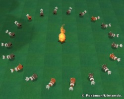 toasty-coconut:  I would like to take a moment of our time to thank these Zigzagoon. Without their help and powerful prayer circle we might not be experiencing Hoenn remakes. Long live Zigzagoon. Long live Hoenn.