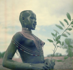 southsud:  Mandari Girl, Jean Carlie Buxton, 1958 - Pitt Rivers Collection 