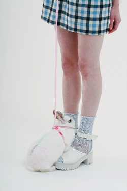 thewhitepepper:  The white rabbit is getting a closer look at our wonderful Crochet Ankle Socks in Blue. He just can’t believe how cute they are! Like THE WHITEPEPPER on Facebook  