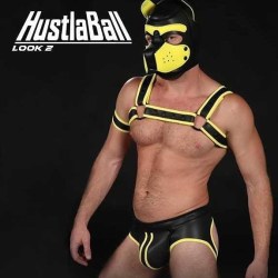 mr-s-leather:  #Hustlaball pups! Is This weekend in SF. We got your tickets and looks for this year…