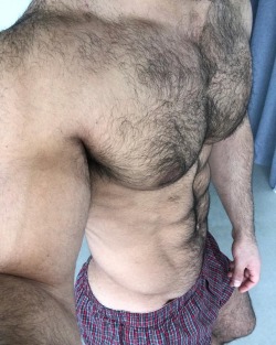 Hairy Pit | Hairy Man | Hairy Hole | Hairy Face