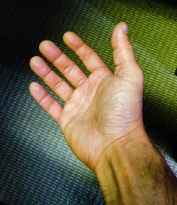 sexy-uredoinitright:  sweetflattery:  sexy-uredoinitright:  Ok anon, my hand as requested!  hand porn is legit my weakness. you can smack it, literally, whenever you like.  I am so excited right now…… OMG OMG OMG….  oh you&rsquo;re killing me