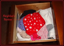 pattiespics:  Well, Pattie has been naughty again.  She has been playing in the neighbor’s pantie drawer, just could not resist!  You can see all of Pattie’s pic here: http://pattiespics.tumblr.com/ Thanks for looking ~ Pattie  