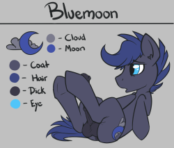 Alright, here&rsquo;s the ref sheet for my OC.  I have also updated the tumblr with a new look, hope you like it. PS - The Soarin x shining pic will be up later today &lt;3 PSS - I&rsquo;m thinking about opening up commissions? Would anyone be interested?
