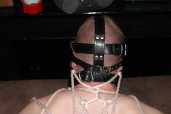 dicksubslut:  Sir tied hooded hooked and horny, just how a sub boy should be Sir  Just another stupid faggot