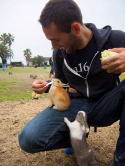 theocraticjello:magical-ginger:     I’m just going to reblog this because BUNNIES!!!