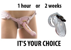 babybonerbobby:  femdomgames:  The choice is simple, he either gets the strap-on for an hour straight or wears the chastity belt for two weeks without release.   Why not both?  Both please! 😎😎🔐