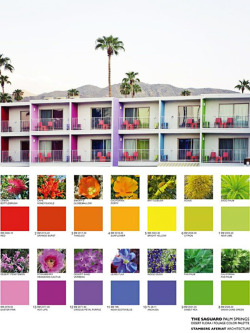 This  modernist resort in Palm Springs takes inspiration from native Mojave  wildflowers: lilies, californian poppies, sunflowers, desert globemallow were turned into saffron umbrellas, magenta sofas, green, blue and lime-colored walls. Each room follows a different color schemes (some might be more relaxing than others!) and most of them offer great views over the San Jacinto Mountains. One thing is for sure: we wouldn&rsquo;t mind waking up here! Photo: Apartment Therapy
Saguaro Hotel, 1800 E Palm Canyon Dr, Palm Springs, CA 92264

