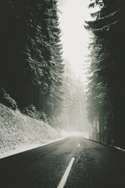 envyavenue:  Winter Season by Daniel Kainz