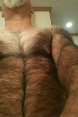 batorwolf:  backfur:  Thick Daddy fur, doesn’t get any better than this maxhair:  And a furry front    omfg fuck, awesome fur 