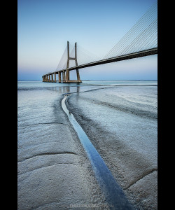 reagentx:  Vasco da Gama || Lisbon || Bridge by chrisafonso21 | http://500px.com/photo/47501062 