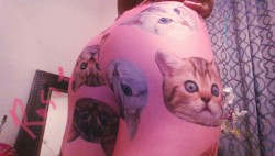 Kitty leggings.