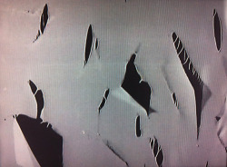 voltra:  Gustav Metzger: auto-destructive art. Nylon sheet being dissolved by acid, 1960. 