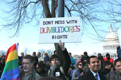 silencingthedrums:  rebelliouslittlemockingjay:  some awesome signs outside the Supreme Court  I have to wonder about the Dumbledore sign kid.  There’s all this outcry against it, people saying that anyone who would have a sign like that is clearly