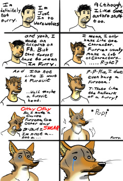 hats-and-horses:  hootaloo:  iamcamdon:  catbountry:  Basically me.  all furries  cool i love tf    hahah oh my god