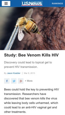 high-femme-jigglypuff:  literallysame:  cosbyykidd:  ohitsjustgreg:  sam-bee:sithempire:  Plot twist: Bees are endangered  WOOOO Plot Twist: the government is killing bees to keep making money off of HIV/AIDS.  jet fuel cant melt steel beams    Think