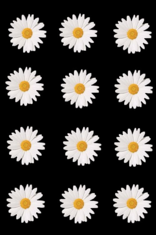 flowers iphone wallpaper | Tumblr
