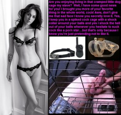 Megan Fox caged sissy slave.
