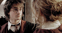sydneysagei:    every ship i ship: harry/hermione (harry potter)   