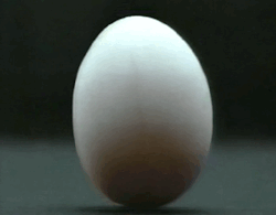 I made a gif of the egg cracking in the opening of Trick (season/series 1). The yolk was a different color each season but I only own the first season so it&rsquo;ll have to be stand alone.