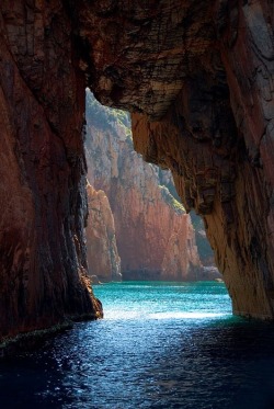 bonitavista:  Isle of Corsica, Italyphoto via alice
