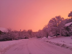 rewelcomed:  the world was so pink tonight i was in awe 