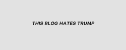 bananzaaaaa:  *this blog hates Trump supporters even if the owner of this blog is polite to those supporters because this blogs owner does not want to promote outward disrespect like they do.