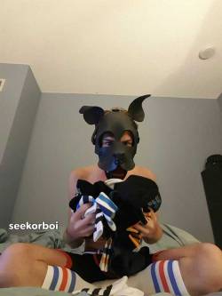 seekorboi:Pup got all excited because the mailman delivered all his new socks from Amazon. I guess mailmen aren’t all bad… bark-bark!