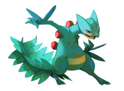 bluekomadori:  Painted a shiny Sceptile to remind myself how to draw because I haven’t done it in ages 