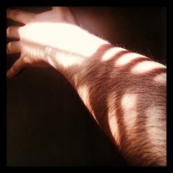 Playing with sunlight and shadows #Instagay #instafollow #gay #sunlight #sunny #instalike #hairy #arm #handsies