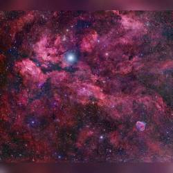 Central Cygnus Skyscape #nasa #apod #dss #byu #constellation #cygnus #theswan #hydrogen #gas #greatrift #milkyway #galaxy #supergiant #star #gammacygni #sadr #dust #clouds #butterflynebula #ic1318 #crescentnebula #ngc6888 #interstellar #intergalactic