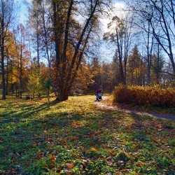 #Autumn #walk #colors #colours #goodday #perfectday #nature #tree #trees #park #landscape #mama #hardwork #October #Gatchina #Russia #walk #photowalk #photorussia #spb #осень #прогулка #краски #цвета #парк #Гатчина #Россия