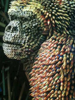 Astounding artistry (Gorilla likeness sculpted from coloured pencils)