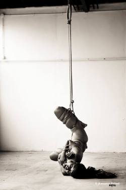 tallulah-nandina-jane:    Ropes and photography: Amaury Grisel   Model: Tallulah  