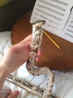 torokino:  drakatha:  kengriffey-jr:  smileythesnake: NO YOU CANT DO THAT Play us a tune Jazz Man  theres a snake in my flute  @the-mighty-python 
