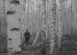 hirxeth:Ivan’s Childhood (1962) dir. Andrei Tarkovsky