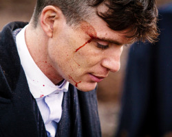 ohfuckyeahcillianmurphy:  “That show completely takes over your life. It’s very hard to walk away from. And you’re left with the f***ing haircut as well!” (He later apologises for swearing.)  ~ Cillian Murphy (X)
