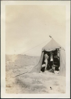 gsbridges:Camping on the beach