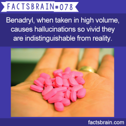 cat-pun:  sha-ka-brah:  cpecod:  endofmybed:  malira:  factsbrain:  Benadryl, when taken in high volume, causes hallucinations so vivid they are indistinguishable from reality. - weird, interesting &amp; funny facts  SIGNAL BOOST the hallucinations