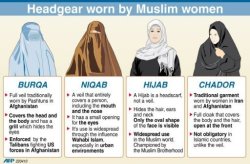 takealookatyourlife:  I have incorrectly been saying ‘burqa’ when I meant ‘niqab’ for maybe my whole life. 