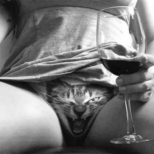 occupymybrain-bcn:  Make me purr😻 . #cat #catsofinstagram #purr #makemepurr #panties #underwear #badcat #badkitty #catmood #gatos #gatosdeinstagram https://www.instagram.com/p/B8wqXMfI3EW/?igshid=bkss2tpcoivg