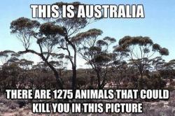 punk4president:  kanrose:  pleatedjeans:  Things Are a Little Different in Australia (21 Pics)  i’m australian and i’m not even sure australia is a real place anymore  It’s because we’re so far away from the ‘normality’ of Britain and America